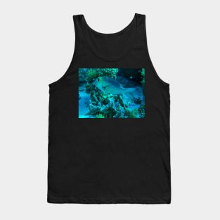 Reef Fish Tank Top